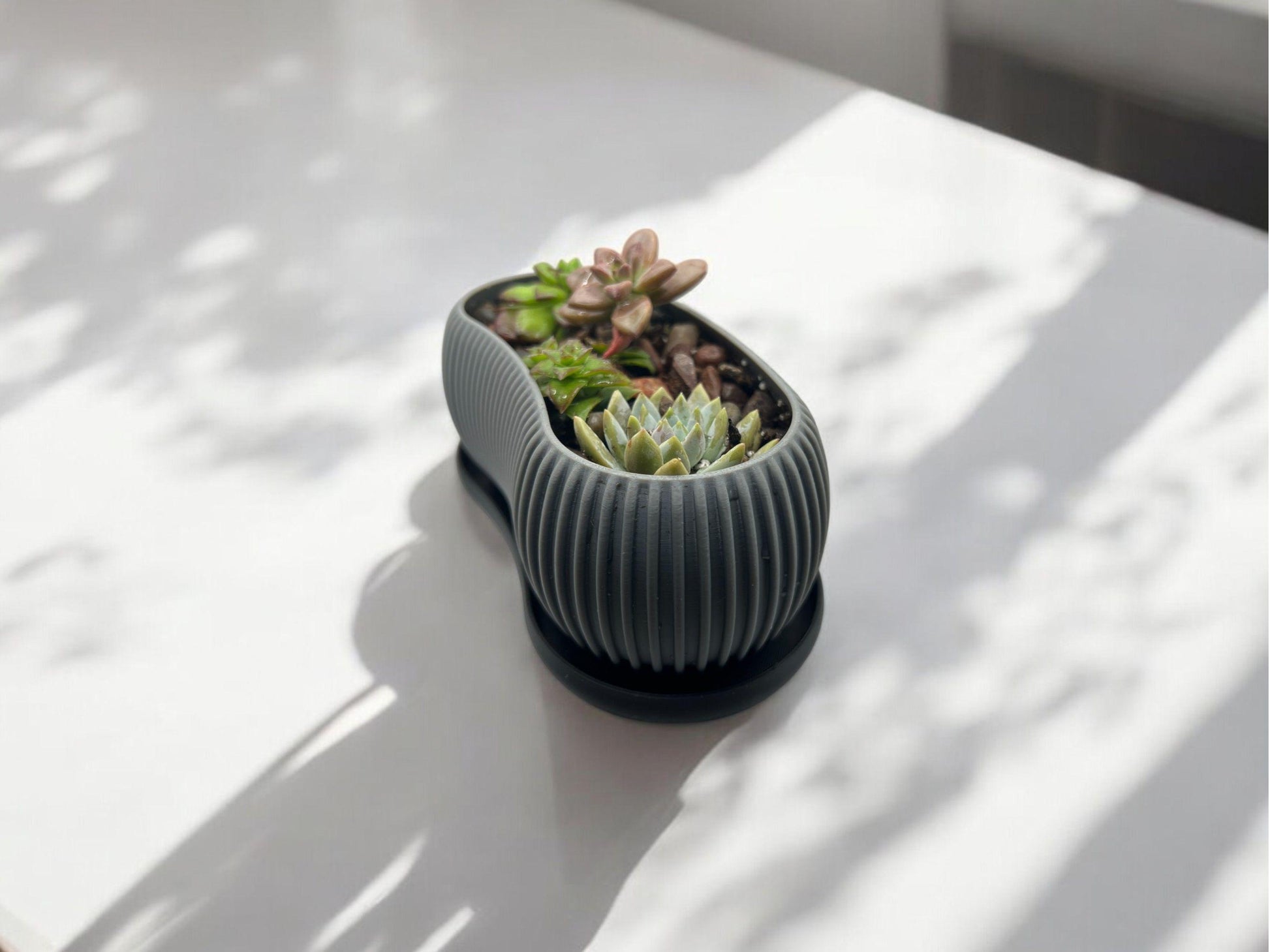 Planter with Drip Plate| Modern Sustainable Design for Succulents, Cacti, and Small Plants| Eco-Friendly Home Decor| gift| housewarming|