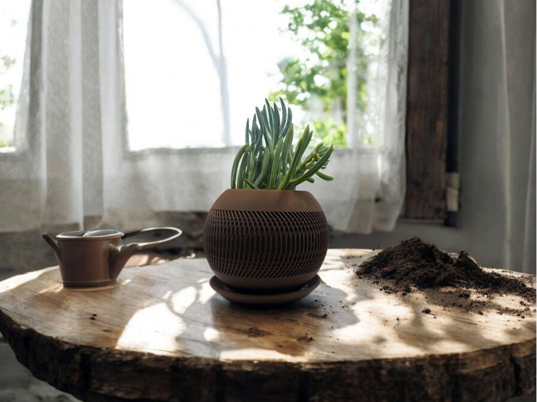 Brown Planter with Drip Plate| Modern Sustainable Design for Succulents, Cacti, and Small Plants| Home Decor| gift| housewarming| - Default Title