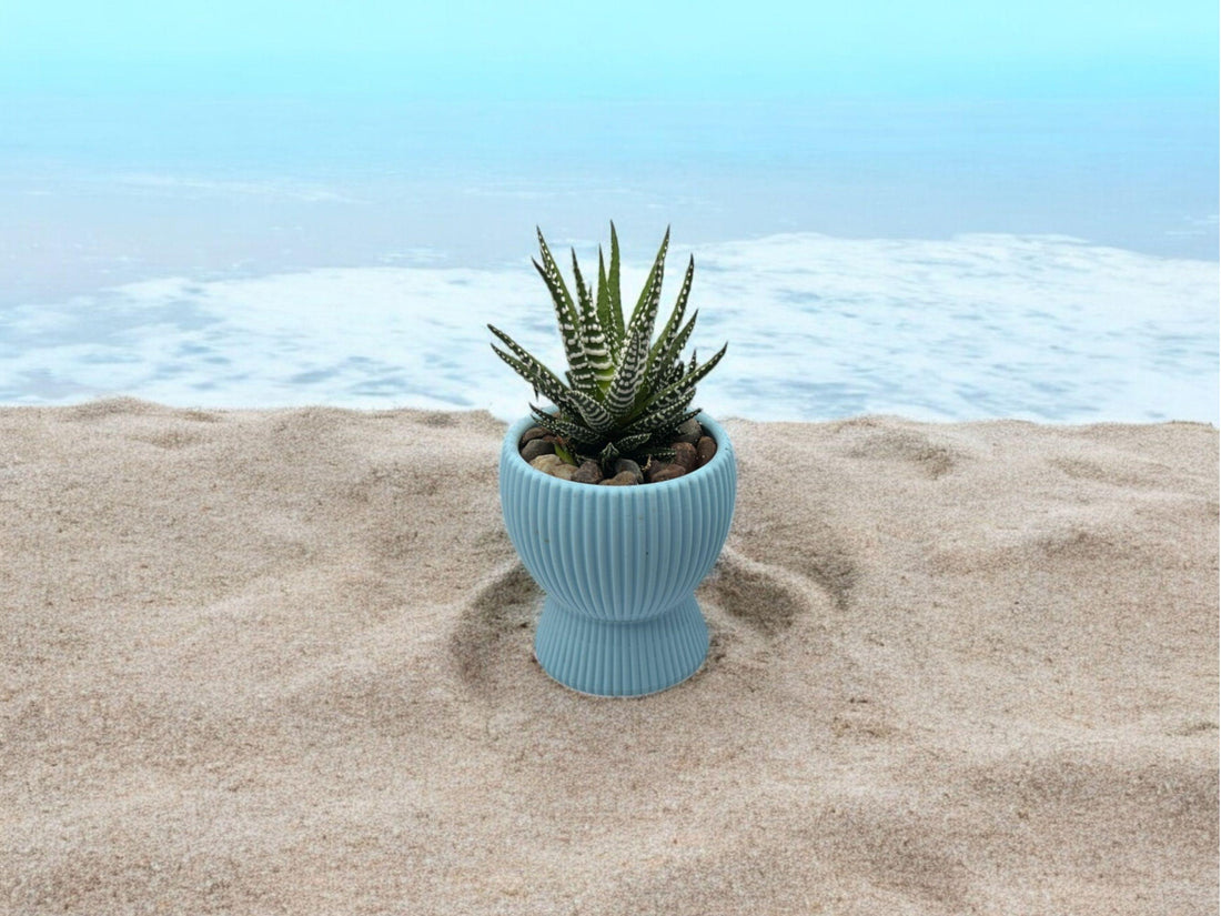 Light Blue Planter with Drip Plate| Modern Sustainable Design for Succulents, Cacti, and Small Plants| Home Decor| gift| housewarming| - Default Title
