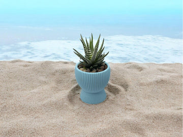 Light Blue Planter with Drip Plate| Modern Sustainable Design for Succulents, Cacti, and Small Plants| Home Decor| gift| housewarming| - Default Title