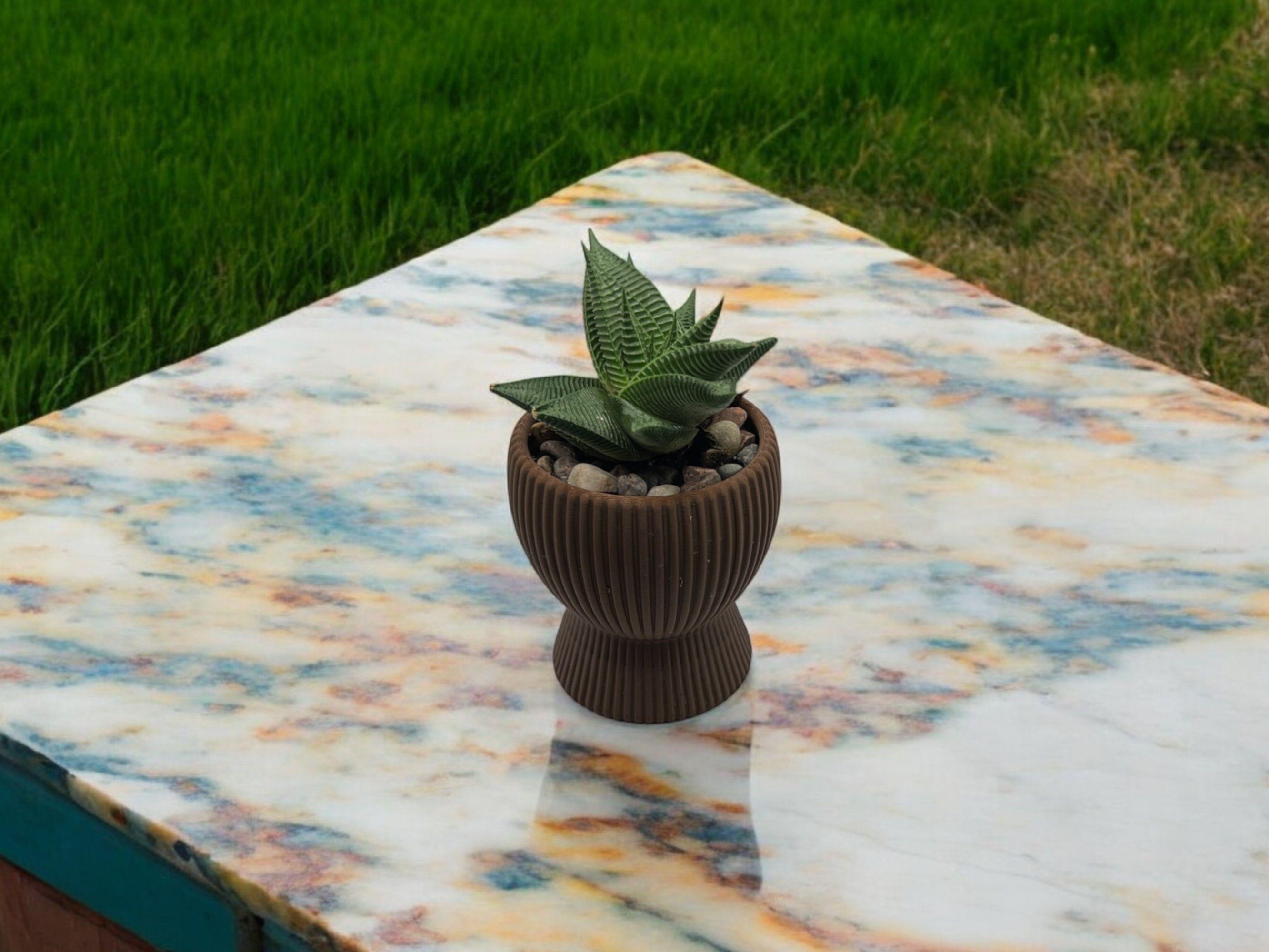 Brown Planter with Drip Plate| Modern Sustainable Design for Succulents, Cacti, and Small Plants| Home Decor| gift| housewarming|