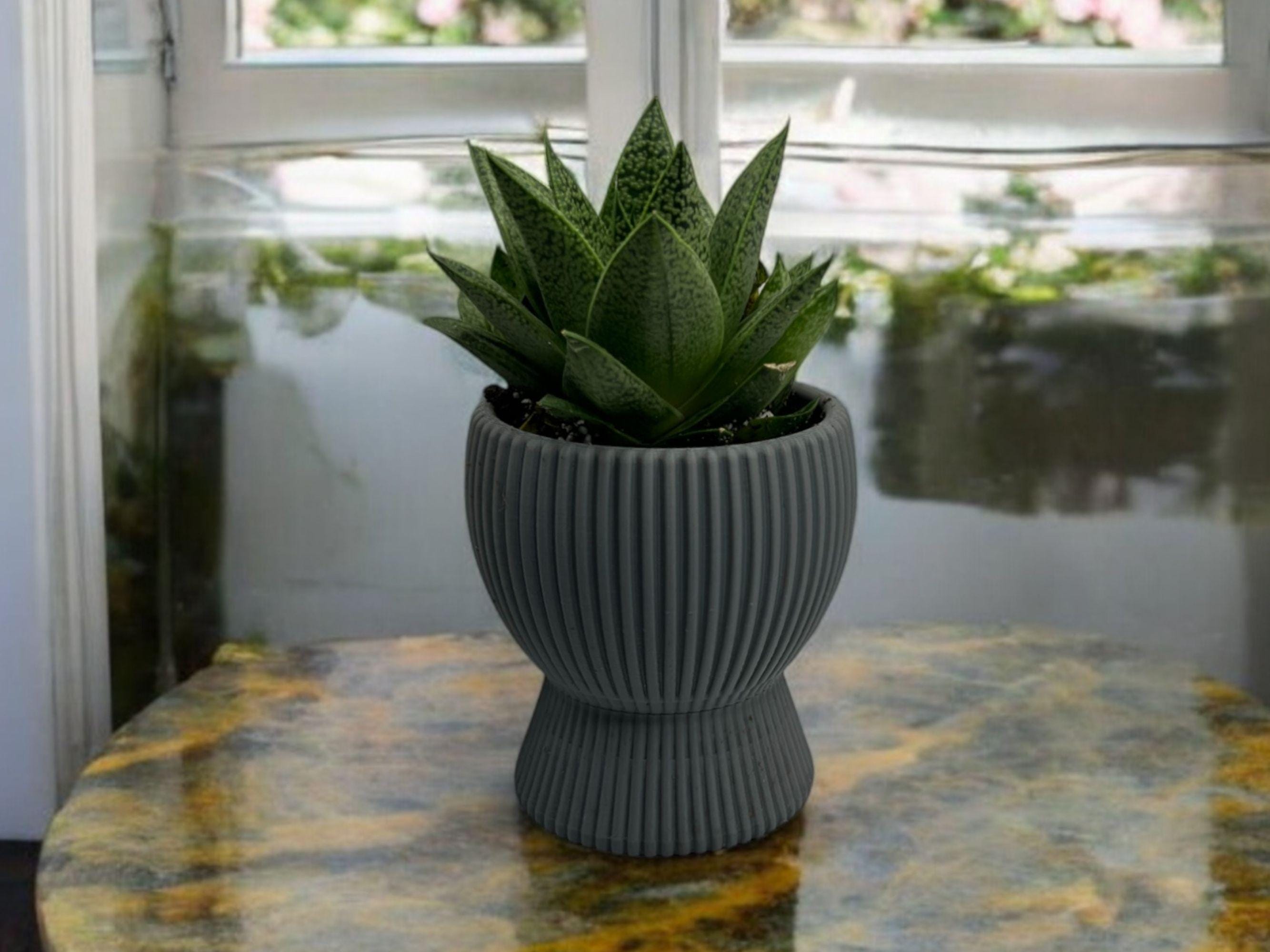 Gray Planter with Drip Plate| Modern Sustainable Design for Succulents, Cacti, and Small Plants|  Home Decor| gift| housewarming|