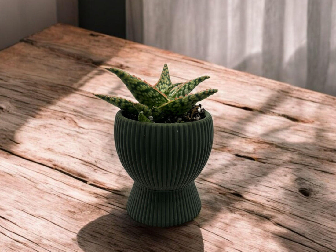 Olive Green Planter with Drip Plate| Modern Sustainable Design for Succulents, Cacti, and Small Plants| Home Decor| gift| housewarming| - Default Title