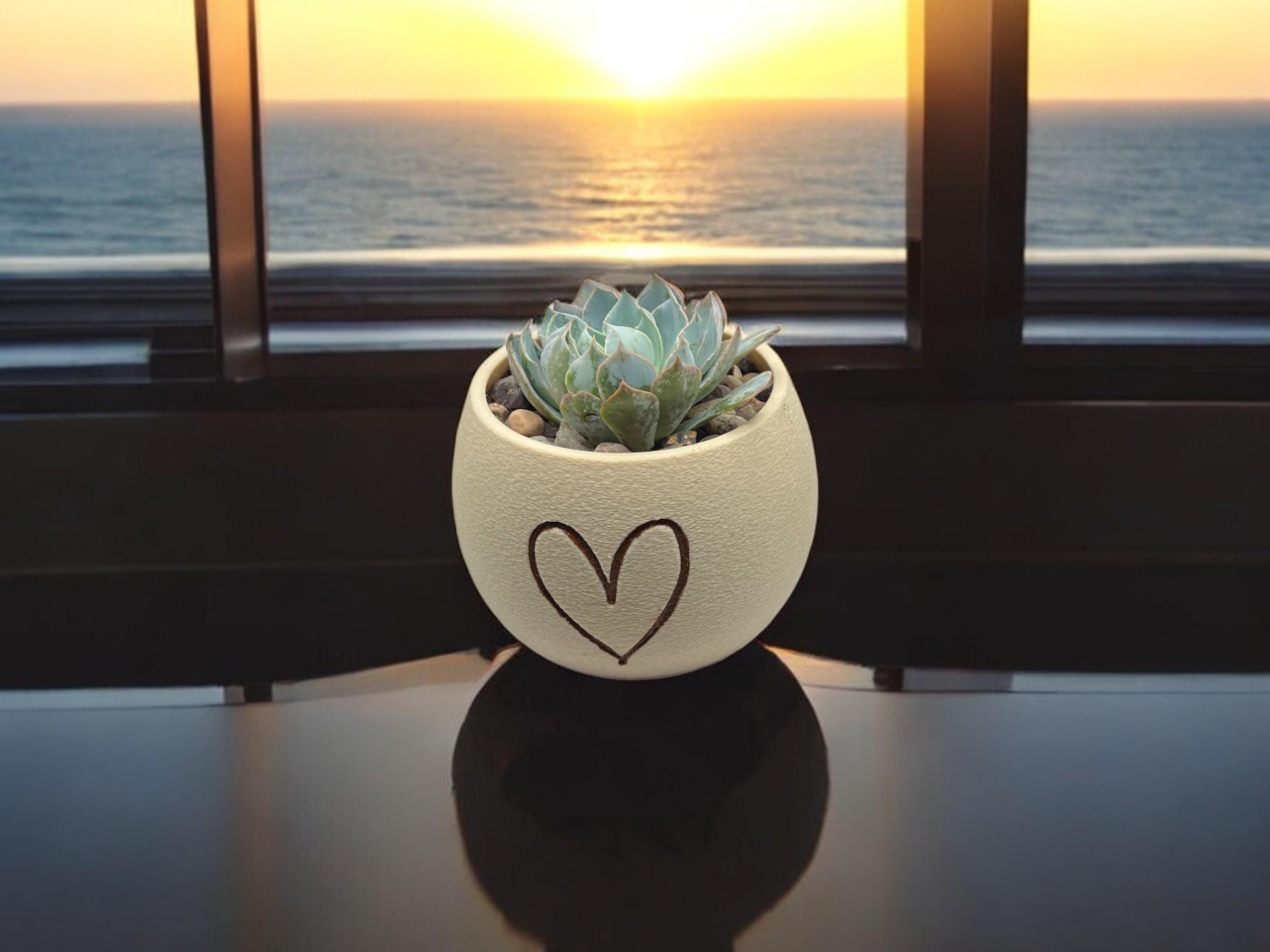Planter with Handpainted Heart| Modern Sustainable Design for Succulents, Cacti and Small Plant| Home Decor| gift| Housewarming| Mothers Day