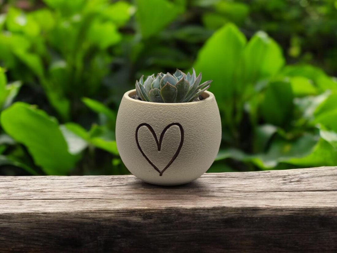 Planter with Handpainted Heart| Modern Sustainable Design for Succulents, Cacti and Small Plant| Home Decor| gift| Housewarming| Mothers Day - Default Title