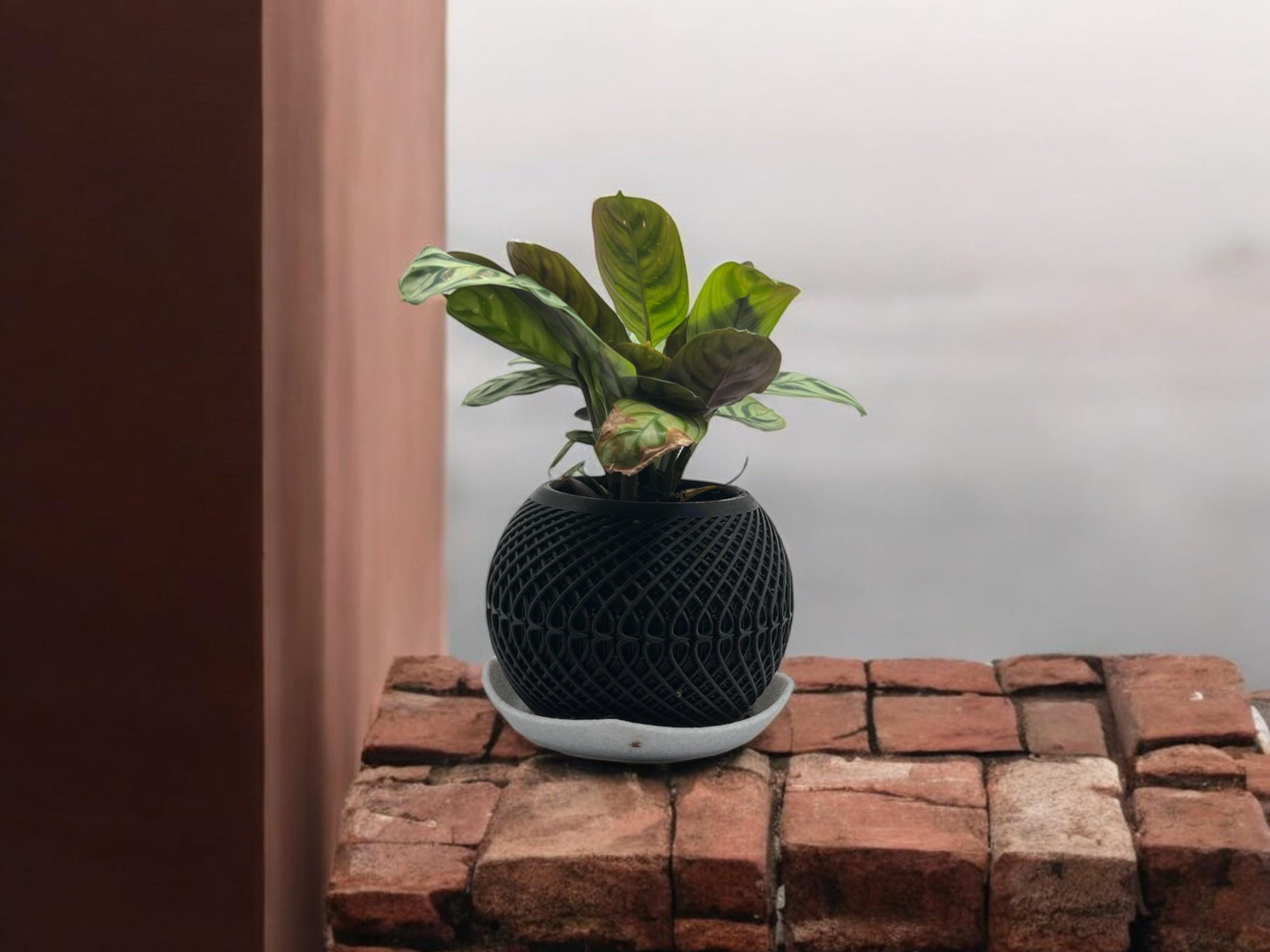 Planter with Drip Plate| Modern Sustainable Design for Succulents, Cacti, and Small Plants| Eco-Friendly Home Decor| gift| housewarming| - Brown