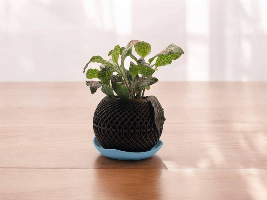Planter with Drip Plate| Modern Sustainable Design for Succulents, Cacti, and Small Plants| Eco-Friendly Home Decor| gift| housewarming| - Black