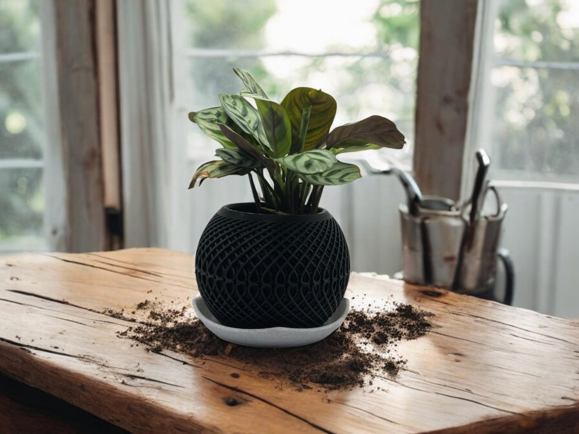 Planter with Drip Plate| Modern Sustainable Design for Succulents, Cacti, and Small Plants| Eco-Friendly Home Decor| gift| housewarming|