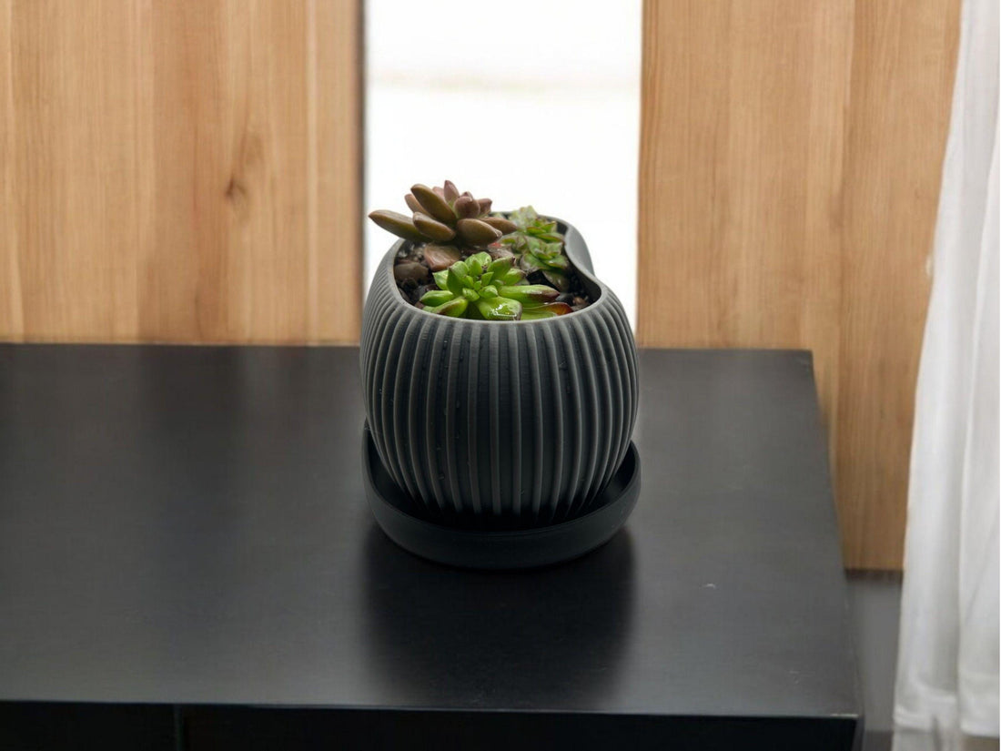 Planter with Drip Plate| Modern Sustainable Design for Succulents, Cacti, and Small Plants| Eco-Friendly Home Decor| gift| housewarming| - Default Title