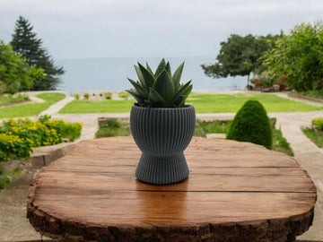 Gray Planter with Drip Plate| Modern Sustainable Design for Succulents, Cacti, and Small Plants|  Home Decor| gift| housewarming| - Default Title