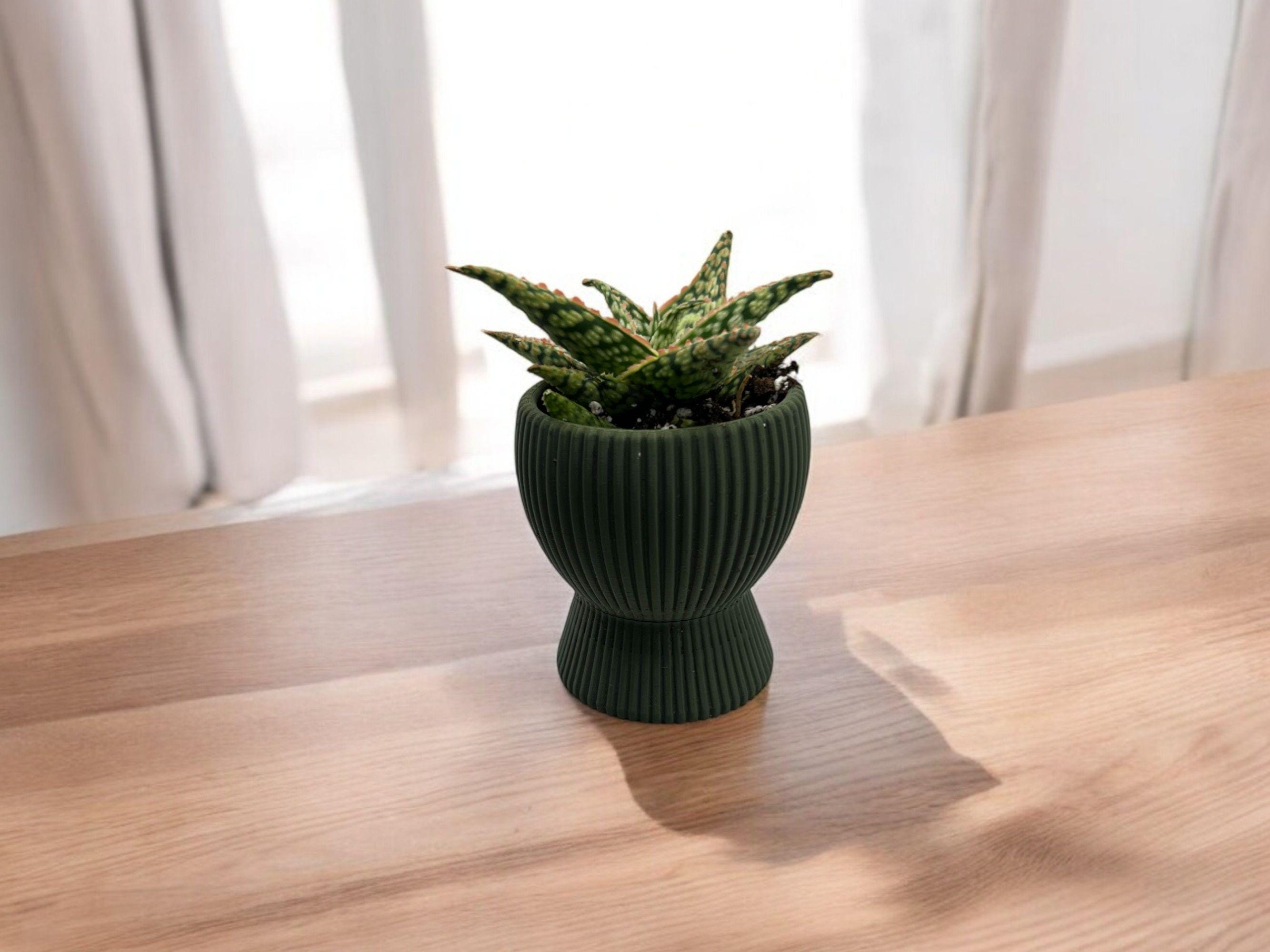 Gray Planter with Drip Plate| Modern Sustainable Design for Succulents, Cacti, and Small Plants|  Home Decor| gift| housewarming|