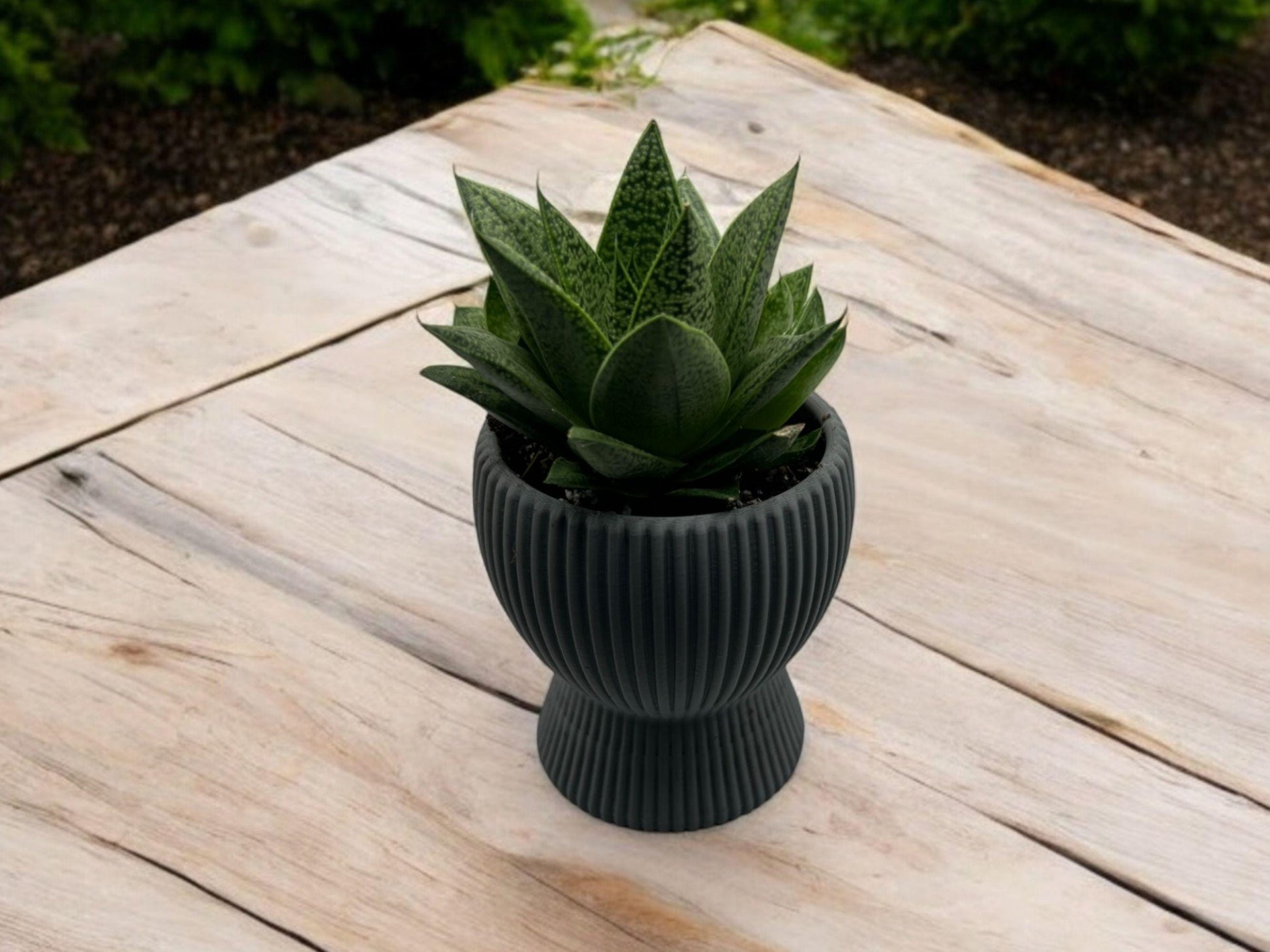 Olive Green Planter with Drip Plate| Modern Sustainable Design for Succulents, Cacti, and Small Plants| Home Decor| gift| housewarming|