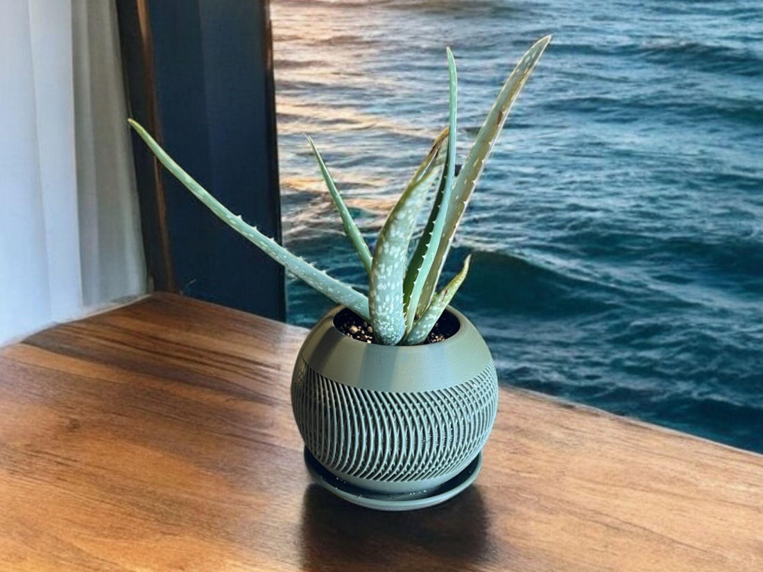 Olive Green Planter with Drip Plate| Modern Sustainable Design for Succulents, Cacti, and Small Plants| Home Decor| gift| housewarming| - Default Title