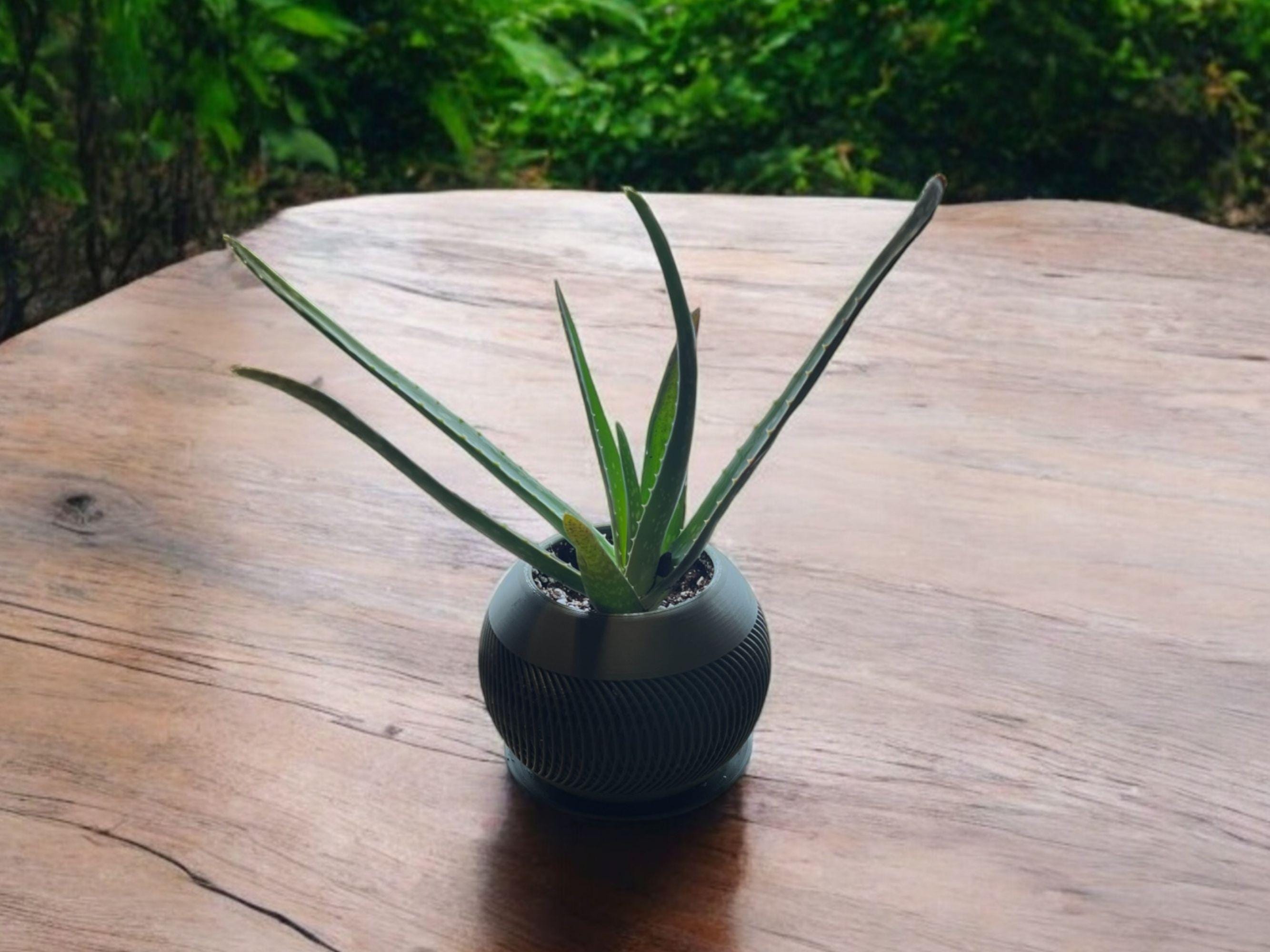 Olive Green Planter with Drip Plate| Modern Sustainable Design for Succulents, Cacti, and Small Plants| Home Decor| gift| housewarming|