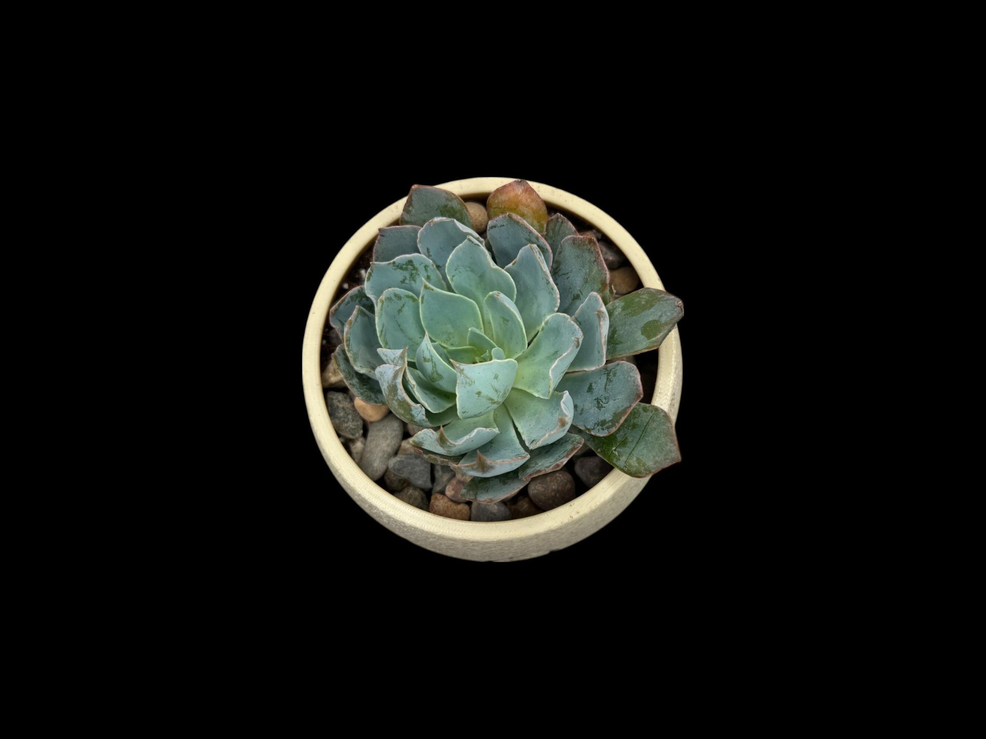 Planter with Handpainted Heart| Modern Sustainable Design for Succulents, Cacti and Small Plant| Home Decor| gift| Housewarming| Mothers Day