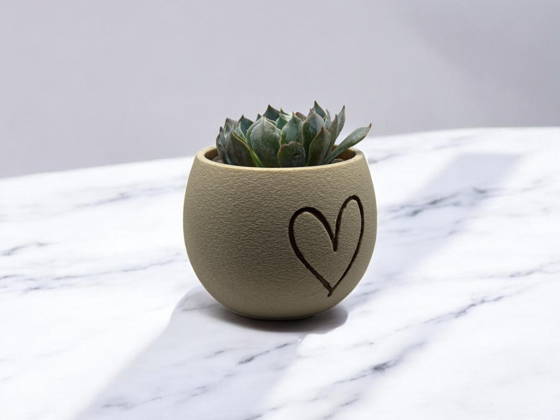 Planter with Handpainted Heart| Modern Sustainable Design for Succulents, Cacti and Small Plant| Home Decor| gift| Housewarming| Mothers Day - Default Title