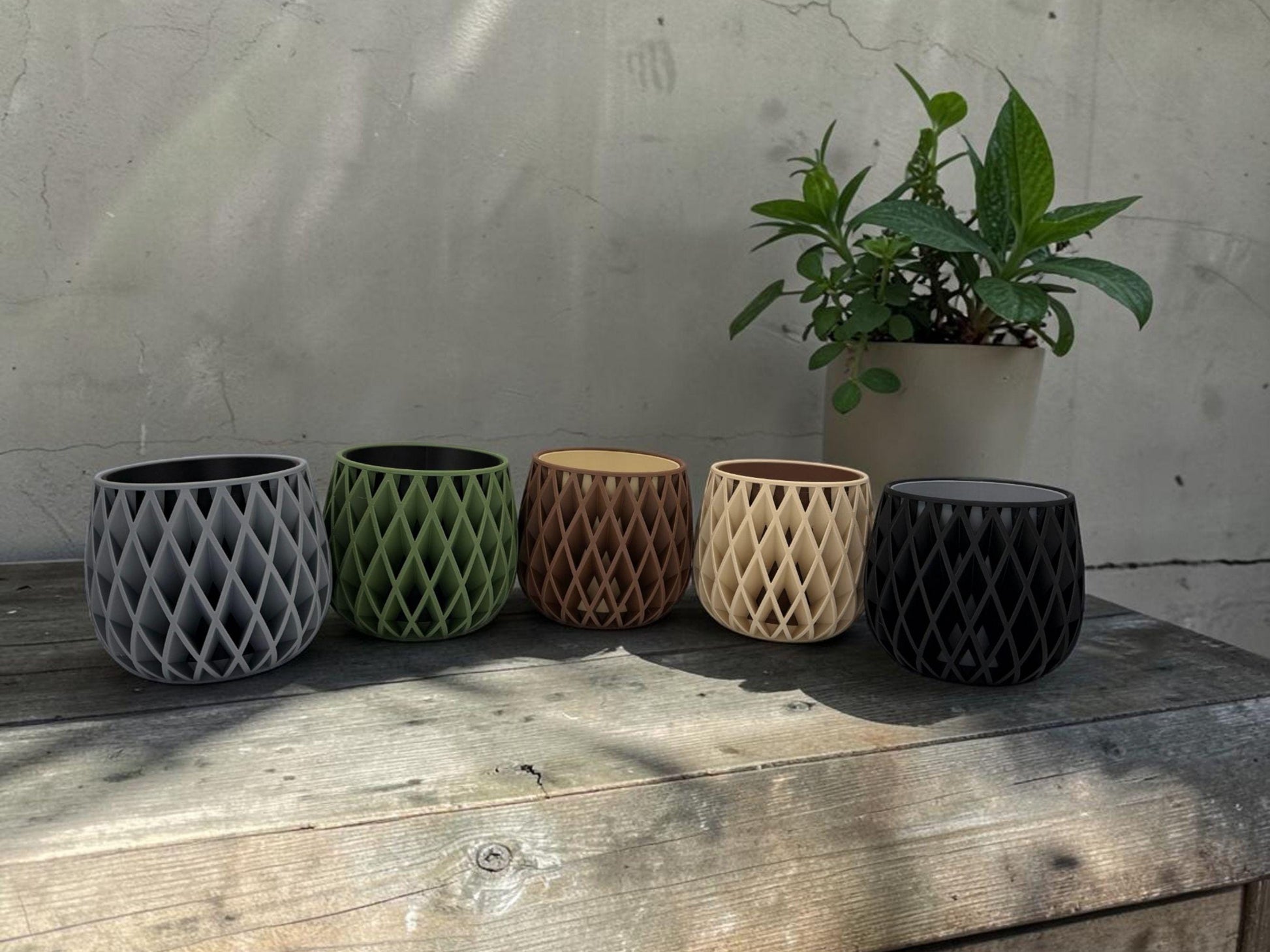 Modern Planter with Drip Plate Insert| Housewarming Gift| Indoor Plants| Succulents| Cactus - Beige